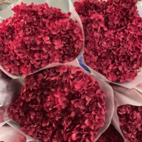 Fleurs d'hortensia séchées et préservées à longue tige pour la décoration de mariage, la fête des mères et Noël - Fleurs séchées éternelles