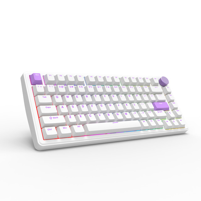 Premium Custom Logo Tri-Mode Gasket-Mounted Mechanical Gaming Keyboard RGB Backlit Programmable Keys Anti-Ghosting for Gamers