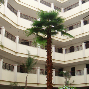 Các Loại Nhân Tạo Cây Cọ, Giá Bán Buôn Trang Trí Nội Thất 2 M 2 Meter Thường Xanh Lá Nhân Tạo Washingtonia Robustafan Cây Cọ - Product Image 2