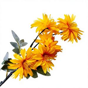 Rose de <span class=keywords><strong>bleuet</strong></span> - Product Image 3