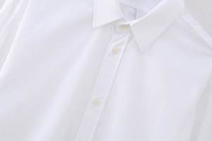 Camicetta da donna alla moda Casual manica lunga di colore bianco 2024 <span class=keywords><strong>con</strong></span> collo in piuma - Product Image 4