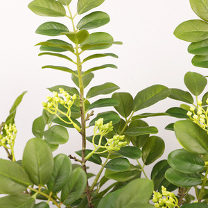 Planta Artificial Pequeña con Hojas de Simulación de Copo de Nieve de 30cm-100cm de Altura, Decoración para Interiores del Hogar, Accesorios para Fotografía de Bodas - Product Image 2