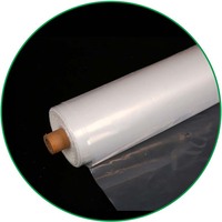 180 microns Anti Uv Blanc Agricole Poly Film Lumière Diffusion Tunnel Film de Couverture de Serre