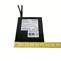 Paquete de batería de litio AMORGE 72V 25AH 200AMP con ANT Bluetooth BMS