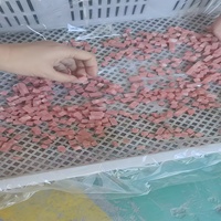 Machine de découpe en dés 3D de précision pour la production de snacks