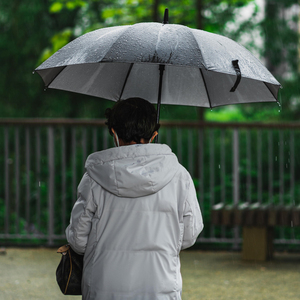 <span class=keywords><strong>Parapluie</strong></span> droit Ovida de <span class=keywords><strong>luxe</strong></span> avec tête d'animal, manche long, résistant au vent et à l'eau, personnalisé en métal doré ou argenté, pour <span class=keywords><strong>homme</strong></span> et femme - Product Image 3
