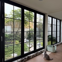 Ventana Francesa Vintage de Acero Forjado Estilo Antiguo para Proyecto de Renovación de Viviendas