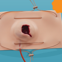 Modelo de herida de pistola grande, modelo de enseñanza médica de entrenamiento de control de hemostasia, entrenamiento de simulación de Trauma