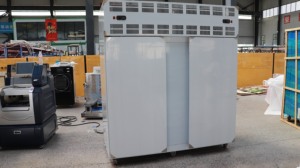 Macchina per Congelamento Rapido IQF di Carrube e Mango, Linea Industriale per Congelamento Impasti - Product Image 5