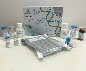 Kit de ELISA GLP1 de Alta Sensibilidad para Suero Humano, Plasma y Cultivo Celular, Solo para Uso en Investigación - Product Image 2