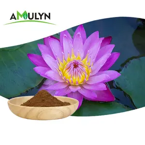 AMULYN Pure Kanna Powder Kanna Sceletium Tortuosum Extract 50:1 100:1