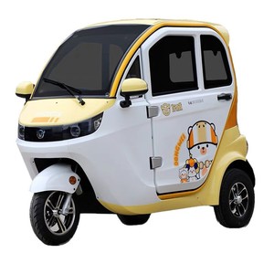 Dongwei Max Closed Electric Tricycle 48V 1500W <b>2</b> Seats <b>Passenger</b> Low Speed Vehicle - Product Image 4