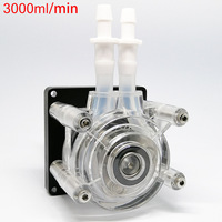 Pompe péristaltique à haut débit auto-amorçante 24V pour machine de remplissage de sirop et de boissons, petite pompe à eau G3000 Engineering
