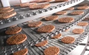 Kaliteli Spiral tel örgülü konveyör - Product Image 6