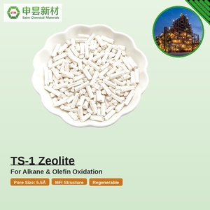 TS-1 ゼオライト チタンシリカライト-1 モレキュラーシーブ吸着剤 高純度工業用触媒 有機化学助剤 - Product Image 6