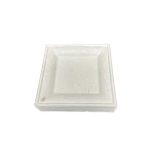 Disposable Environmental Protection Eco Sugarcane Bagasse Party Plates