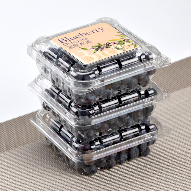 Disposable Clear 125g Blueberry Packaging Boxes Clamshell Blister Fruit Food Container Blueberry Container