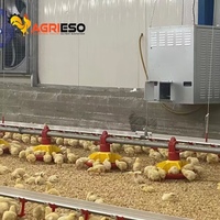 Équipement complet pour élevages de poulets, système d'alimentation automatique pour volailles pour les fermes commerciales