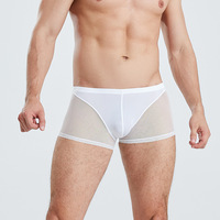 Mesh Semi Transparent Boxer Haute Élasticité U Convexe Boxers Respirant Taille Basse Sexy Hommes Boxers Sous-Vêtements