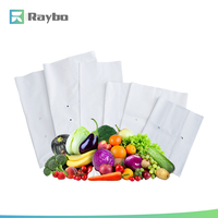 Kantong Tanam Sayuran RAYBO 7L 2 Galon 20+13*27.5cm Tebal 0.12mm untuk Grosir