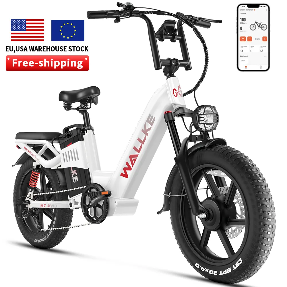 Wallke alta calidad H7 MAX 48V 1000W 7 velocidades 20*3,0 pulgadas neumático grueso bicicleta eléctrica de ciudad Ebike