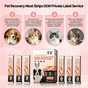 Complément de récupération post-opératoire pour animaux de compagnie : Petites bandes de viande protéinée pour chiens et chats – Renforce l'immunité – Fournisseur OEM en gros - Product Image 3