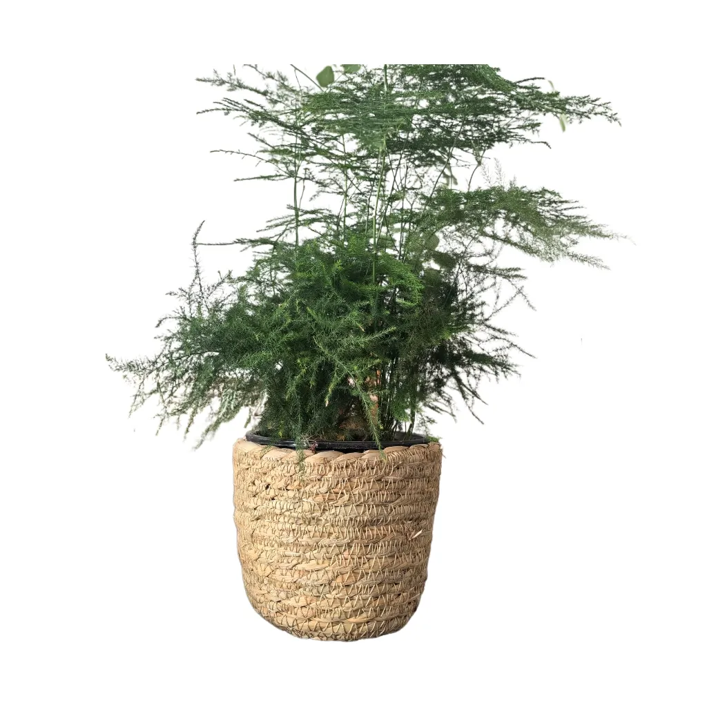 Produsen langsung mengirim Desktop tanaman pot produk rumah tangga rumput laut, keranjang penyimpanan anyaman jerami untuk dekorasi