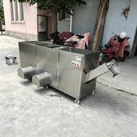 Automatische machine voor het verwerken van verse, rijpe bananen, machine voor het verwijderen van de schil van groene bananen, machine voor het schillen van groene plantains, prijs