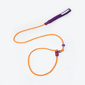 OEM tali kekang latihan anjing besar Medium kustom tali leher anjing antilicin tali pengikat nilon empuk mewah tali timbal selip fungsional - Product Image 1