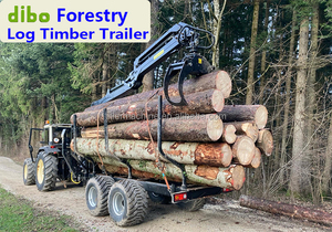 Certifiée UE CE machine d'exploitation forestière tirer derrière grume <span class=keywords><strong>transporteur</strong></span> expédition chargeur remorque à bois monté grappin pour tracteur - Product Image 6