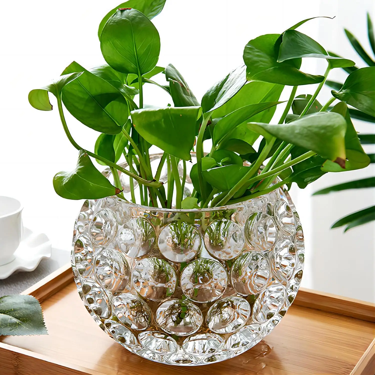 Disposizione floreale a base d'acqua e fiori secchi ornamenti decorativi Nordic moderno vaso di vetro