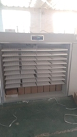 Machine d'incubation automatique pour œufs de volaille 5280, solaire ou électrique