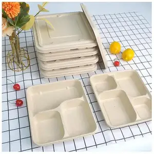 Scatole di carta usa e getta fornitori degradabili cucina pieghevole portatile termo compostabile cina divisa Pizza Sushi Lunchbox in metallo