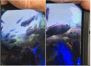 Détecteur haute définition FPV large vue 7 "moniteur Lcd 5.8G visualisation profonde eau CCTV télécommande caméra sous-marine pêche - Product Image 5