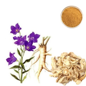 Extrait de racine de Platycodon Grandiflorum 100 % pur de qualité alimentaire en poudre, emballage en fût de 1 kg, vente en gros - Product Image 2