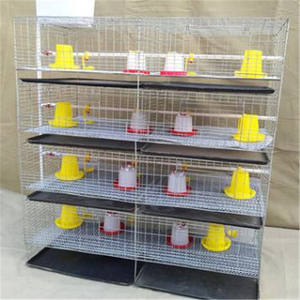 Agricultura granja chica jaula con alimentadores automáticos - Product Image 2