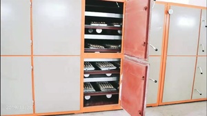 Máy Sấy Kim Loại Nhiều Lớp Cho Máy Làm Khay Bột Giấy Máy Khay Trứng Kiểu Tự Động Xoay Chiều Trung Quốc - Product Image 2