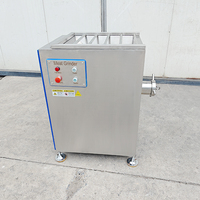 YouBan Commerciële Vriesvleesmolen en Gehele Pluimveemolen met Multifunctioneel Puree-maaksysteem voor Fruit en Groenten