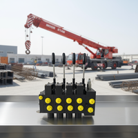 Fournisseur d'usine – Contrôleur à distance pour grue sur chenilles, avec joystick hydraulique proportionnel et vannes directionnelles, étanche IP68, personnalisable