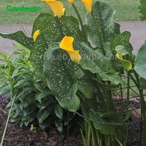 Lot de 3 supports de plantes ronds en acier moderne <span class=keywords><strong>pour</strong></span> tomates, légumes et fleurs en plein air, cerceaux de soutien <span class=keywords><strong>pour</strong></span> pivoines - Product Image 5