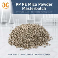 Granulés de mica PP PE Chengwei, masterbatch de qualité extrusion, haute rigidité, haute résistance, remplissage renforcé pour pièces automobiles