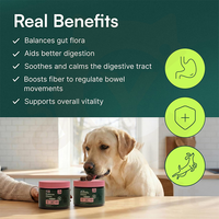 Complément alimentaire probiotique pour la santé intestinale des chiens et des chats, comprimés à mâcher, prébiotique, digestion, vitamines du complexe B, absorption rapide, équilibre
