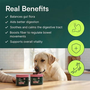 Masticables Probióticos para la Salud Intestinal de <span class=keywords><strong>Perros</strong></span> y Gatos, Suplemento Digestivo Prebiótico, Vitaminas del <span class=keywords><strong>Complejo</strong></span> <span class=keywords><strong>B</strong></span>, Absorción Rápida, Equilibra el Sistema Digestivo - Product Image 4