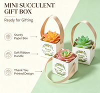 Mini boîte carrée en papier pour fleurs avec poignée en ruban, boîte à succulentes de remerciement, boîte cadeau pour mariage ou fête, pour petite plante verte