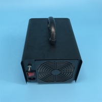 Désodorisant portable pour garage et véhicule, générateur d'ozone avec minuterie, désinfectant à l'ozone prêt à l'emploi