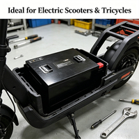 Paket Baterai Lithium 72V 150Ah/125Ah/100Ah/25Ah untuk Sepeda Listrik, Skuter, Motor Listrik, Baterai Pengganti LiFePO4 untuk Kendaraan 2/3 Roda