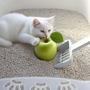 DongnaiPETS-Litière pour chat premium à prix économique, fragrance bentonite, sable et fruits, agglomérante et dure, sans poussière - Product Image 4