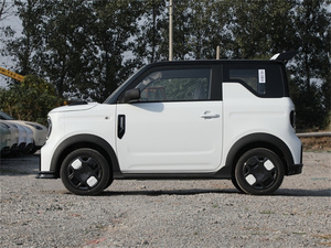 Nuevo Geely Panda Kart Mini Coche Eléctrico 210km 17kwh Diseño 2025 - Product Image 2