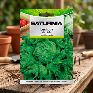 Semillas de Lechuga Ice Queen (7 gramos) - Product Image 3