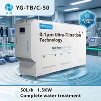 Système de purification d'eau pour plantes YONG GUAN, mini purificateur d'eau avec membrane RO, entièrement automatisé, en UPVC, pour petites entreprises, démarrage de petite entreprise, 50L-350L/h, 220V